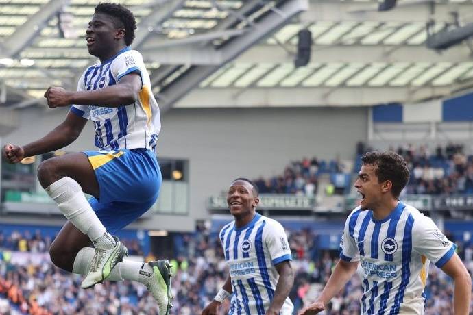 包含赛前布莱顿调整名单以备英超；回应争议环节打磨；信心回归；纪律约束更严格的词条